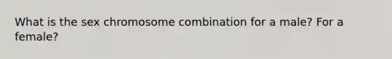 What is the sex chromosome combination for a male? For a female?