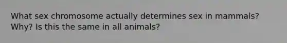 What sex chromosome actually determines sex in mammals? Why? Is this the same in all animals?