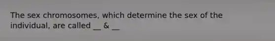 The sex chromosomes, which determine the sex of the individual, are called __ & __
