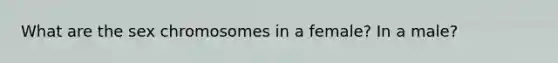What are the sex chromosomes in a female? In a male?