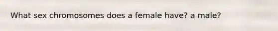 What sex chromosomes does a female have? a male?