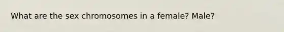 What are the sex chromosomes in a female? Male?