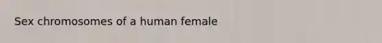 Sex chromosomes of a human female