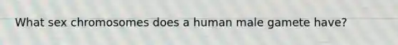 What sex chromosomes does a human male gamete have?