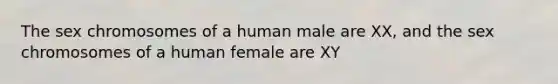 The sex chromosomes of a human male are XX, and the sex chromosomes of a human female are XY