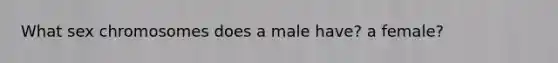 What sex chromosomes does a male have? a female?