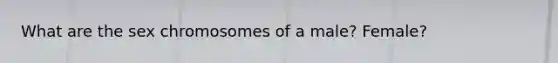 What are the sex chromosomes of a male? Female?