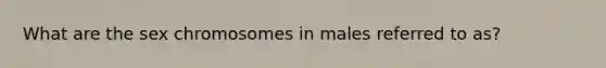 What are the sex chromosomes in males referred to as?