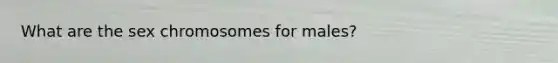 What are the sex chromosomes for males?