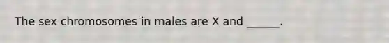 The sex chromosomes in males are X and ______.