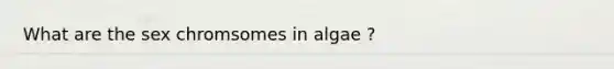 What are the sex chromsomes in algae ?