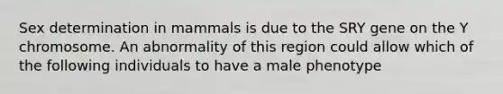 Sex determination in mammals is due to the SRY gene on the Y chromosome. An abnormality of this region could allow which of the following individuals to have a male phenotype