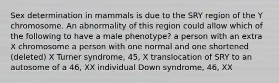 Sex determination in mammals is due to the SRY region of the Y chromosome. An abnormality of this region could allow which of the following to have a male phenotype? a person with an extra X chromosome a person with one normal and one shortened (deleted) X Turner syndrome, 45, X translocation of SRY to an autosome of a 46, XX individual Down syndrome, 46, XX