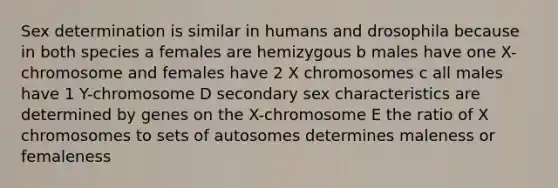 Sex determination is similar in humans and drosophila because in both species a females are hemizygous b males have one X-chromosome and females have 2 X chromosomes c all males have 1 Y-chromosome D secondary sex characteristics are determined by genes on the X-chromosome E the ratio of X chromosomes to sets of autosomes determines maleness or femaleness