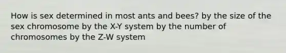 How is sex determined in most ants and bees? by the size of the sex chromosome by the X-Y system by the number of chromosomes by the Z-W system