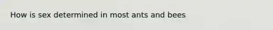 How is sex determined in most ants and bees