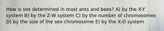 How is sex determined in most ants and bees? A) by the X-Y system B) by the Z-W system C) by the number of chromosomes D) by the size of the sex chromosome E) by the X-O system