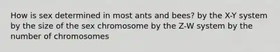 How is sex determined in most ants and bees? by the X-Y system by the size of the sex chromosome by the Z-W system by the number of chromosomes