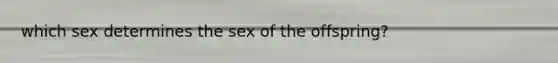 which sex determines the sex of the offspring?