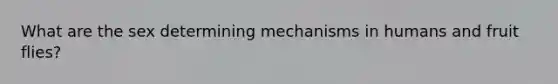 What are the sex determining mechanisms in humans and fruit flies?