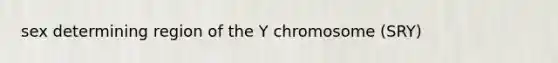 sex determining region of the Y chromosome (SRY)