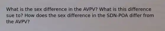 What is the sex difference in the AVPV? What is this difference sue to? How does the sex difference in the SDN-POA differ from the AVPV?