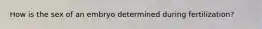 How is the sex of an embryo determined during fertilization?