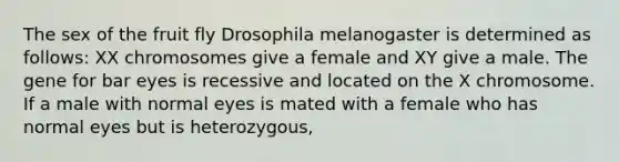 The sex of the fruit fly Drosophila melanogaster is determined as follows: XX chromosomes give a female and XY give a male. The gene for bar eyes is recessive and located on the X chromosome. If a male with normal eyes is mated with a female who has normal eyes but is heterozygous,