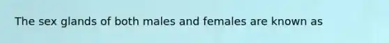 The sex glands of both males and females are known as