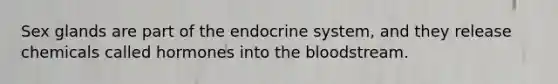 Sex glands are part of the <a href='https://www.questionai.com/knowledge/k97r8ZsIZg-endocrine-system' class='anchor-knowledge'>endocrine system</a>, and they release chemicals called hormones into <a href='https://www.questionai.com/knowledge/k7oXMfj7lk-the-blood' class='anchor-knowledge'>the blood</a>stream.