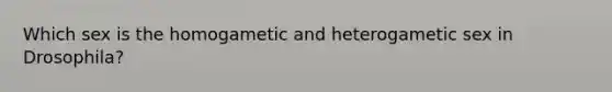 Which sex is the homogametic and heterogametic sex in Drosophila?