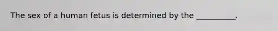 The sex of a human fetus is determined by the __________.