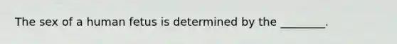 The sex of a human fetus is determined by the ________.