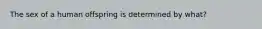 The sex of a human offspring is determined by what?