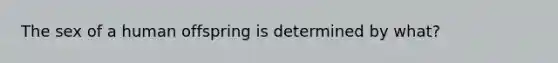 The sex of a human offspring is determined by what?