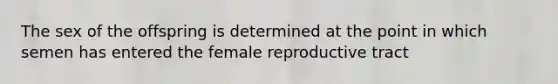 The sex of the offspring is determined at the point in which semen has entered the female reproductive tract