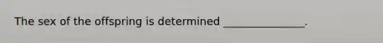 The sex of the offspring is determined _______________.