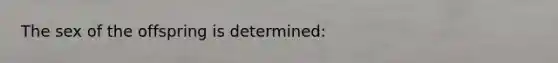 The sex of the offspring is determined: