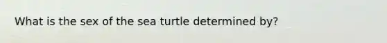 What is the sex of the sea turtle determined by?