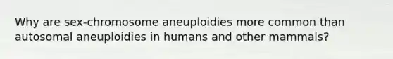 Why are sex-chromosome aneuploidies more common than autosomal aneuploidies in humans and other mammals?