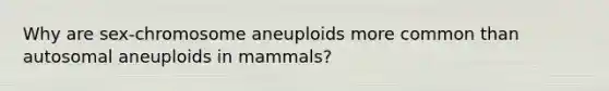 Why are sex-chromosome aneuploids more common than autosomal aneuploids in mammals?