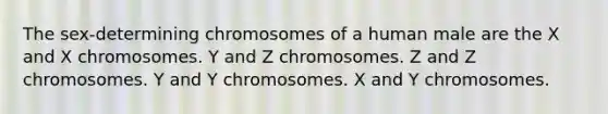 The sex-determining chromosomes of a human male are the X and X chromosomes. Y and Z chromosomes. Z and Z chromosomes. Y and Y chromosomes. X and Y chromosomes.