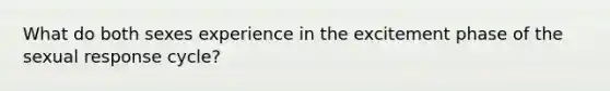 What do both sexes experience in the excitement phase of the sexual response cycle?