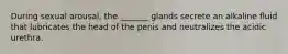 During sexual arousal, the _______ glands secrete an alkaline fluid that lubricates the head of the penis and neutralizes the acidic urethra.