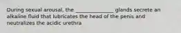 During sexual arousal, the _______________ glands secrete an alkaline fluid that lubricates the head of the penis and neutralizes the acidic urethra