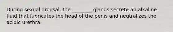 During sexual arousal, the ________ glands secrete an alkaline fluid that lubricates the head of the penis and neutralizes the acidic urethra.