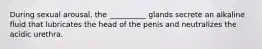 During sexual arousal, the __________ glands secrete an alkaline fluid that lubricates the head of the penis and neutralizes the acidic urethra.