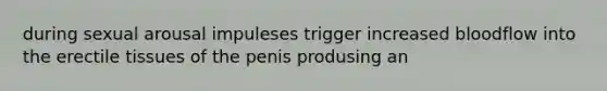 during sexual arousal impuleses trigger increased bloodflow into the erectile tissues of the penis produsing an