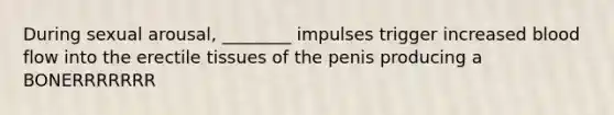 During sexual arousal, ________ impulses trigger increased blood flow into the erectile tissues of the penis producing a BONERRRRRRR