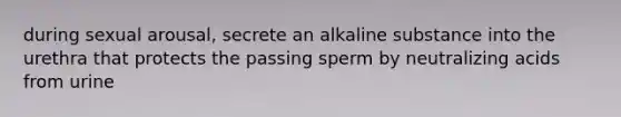 during sexual arousal, secrete an alkaline substance into the urethra that protects the passing sperm by neutralizing acids from urine